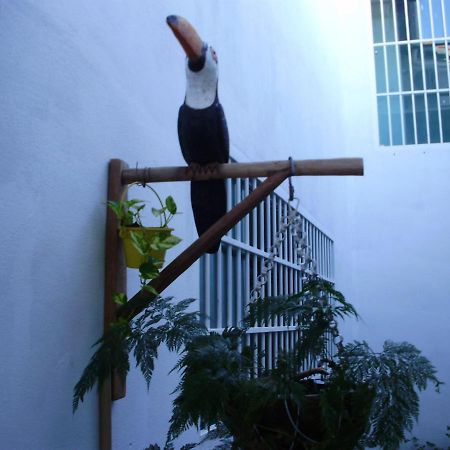 Aconchego Dos Milagres Βίλα São Miguel dos Milagres Εξωτερικό φωτογραφία